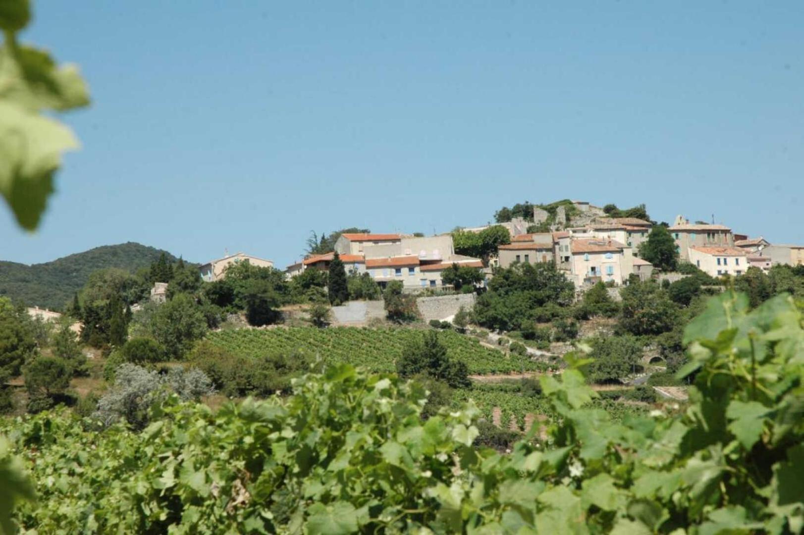 Villa Cecile Montgaillard  Exterior foto